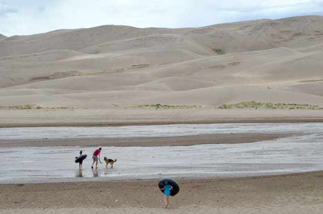 Dog at Great Sand Dunes