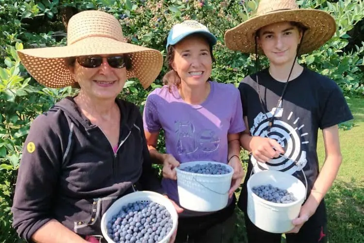 Family Tradition Examples