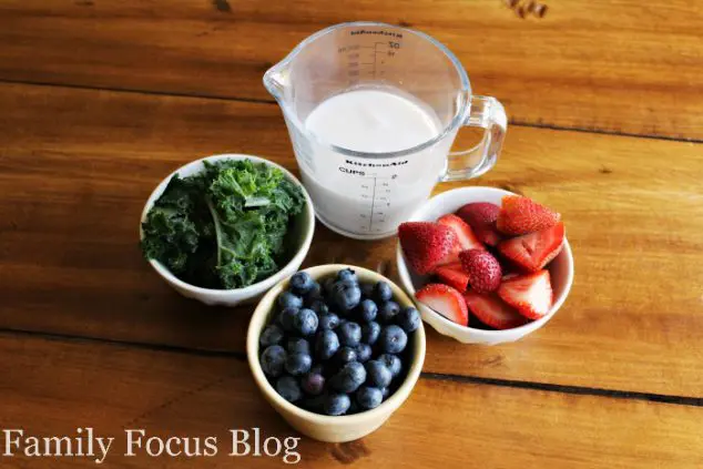 Blueberry Kale Smoothie Ingredients