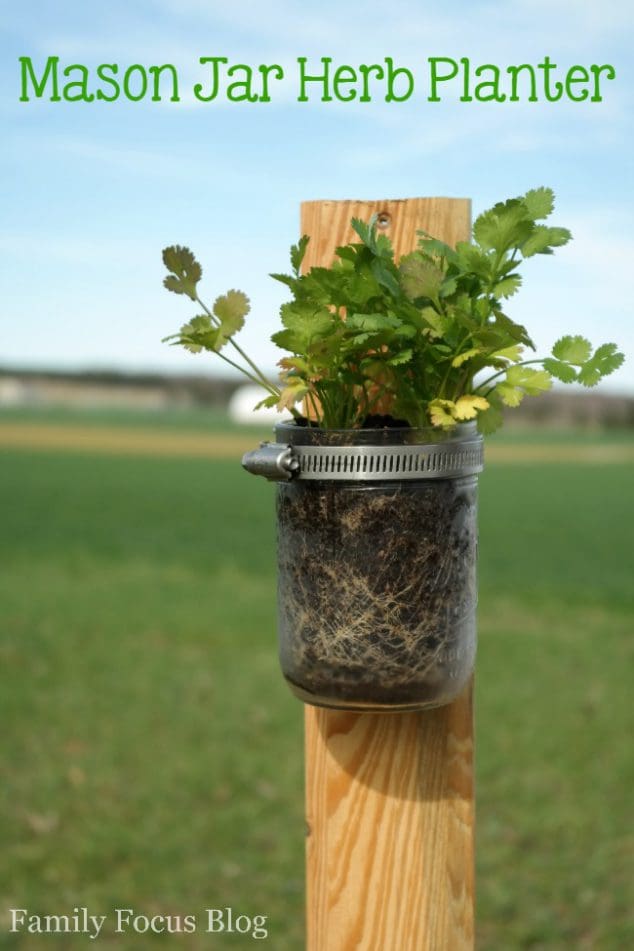 Mason Jar Herb Planter