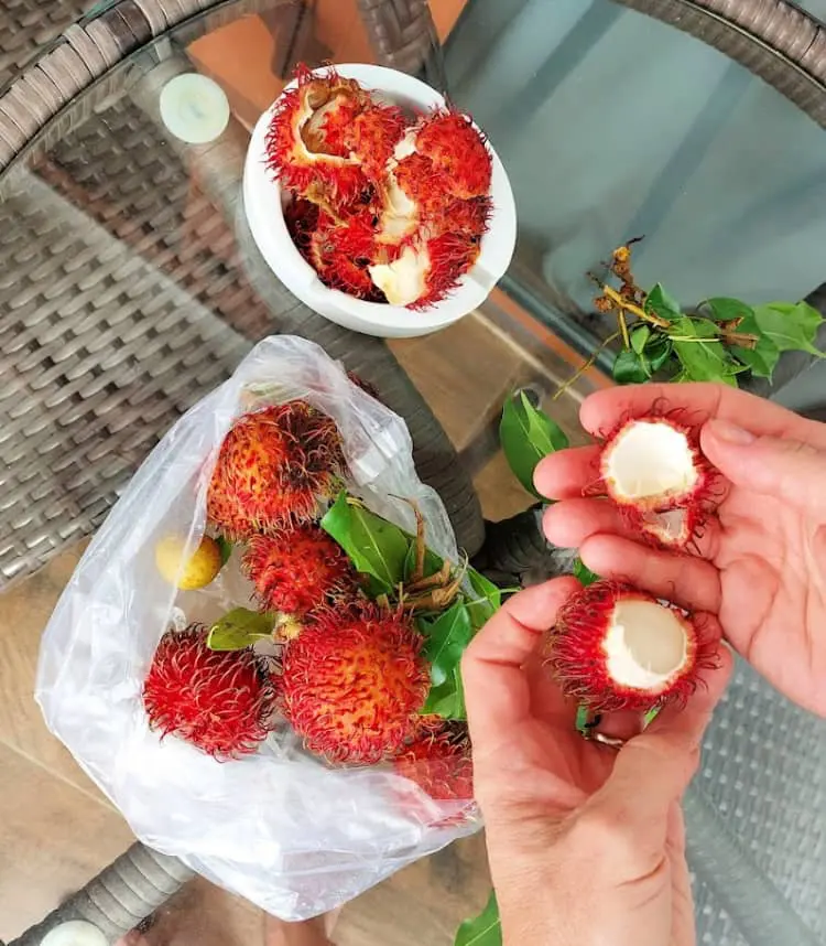 rambutan