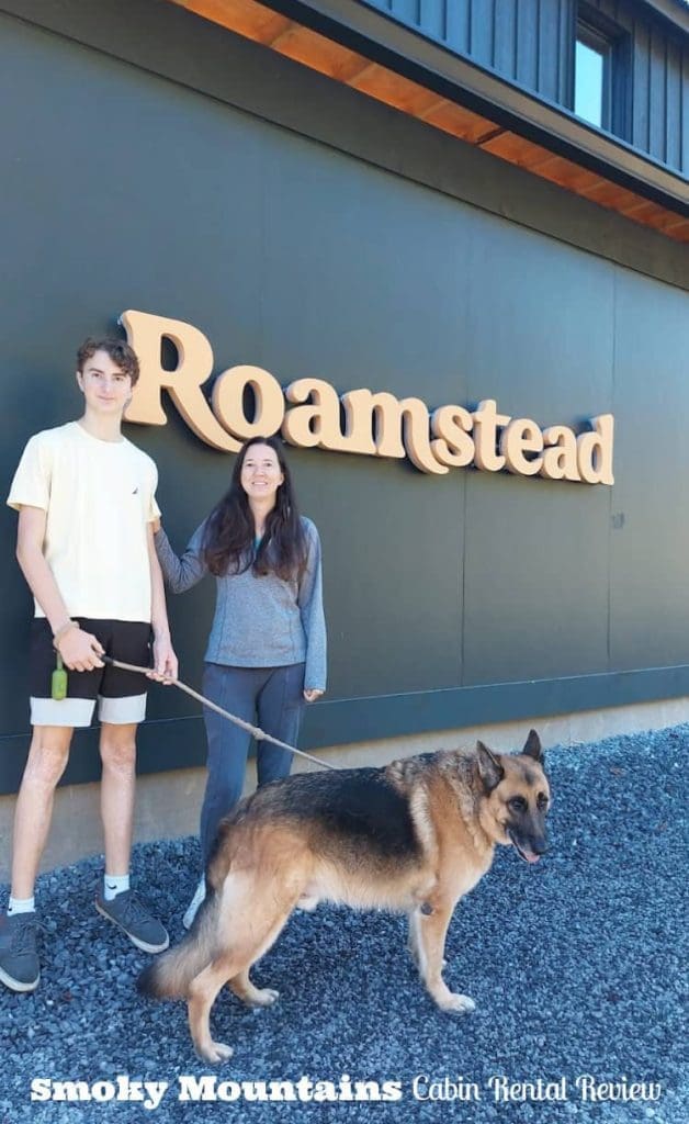 Roamstead reviews
