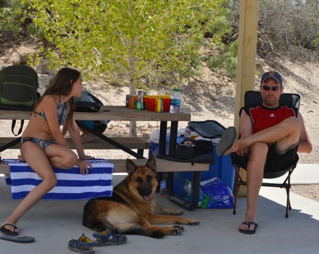 dog at Elephant Butte