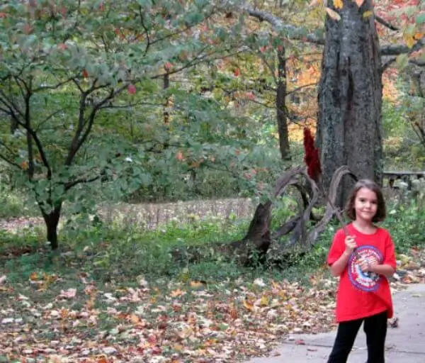 gathering fall table centerpiece flowers
