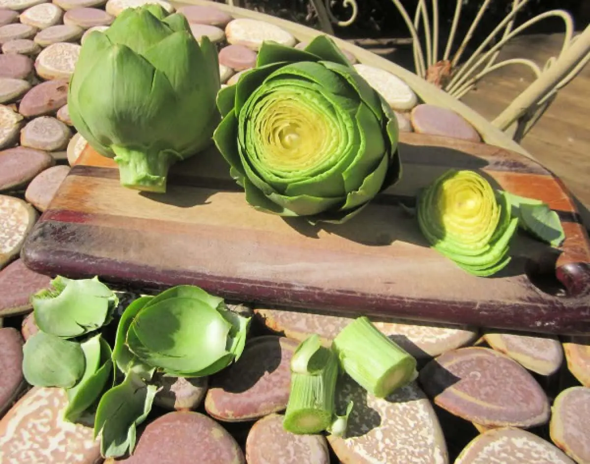 how to prepare artichokes for cooking
