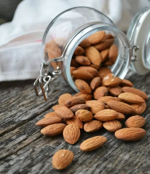 immune system booster foods