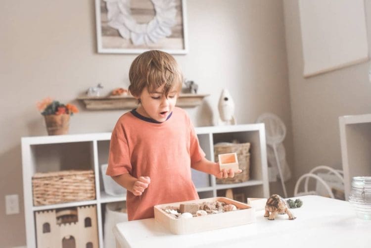Montessori at home