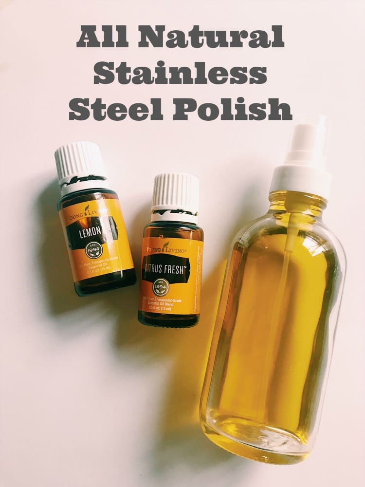 homemade stainless steel cleaner